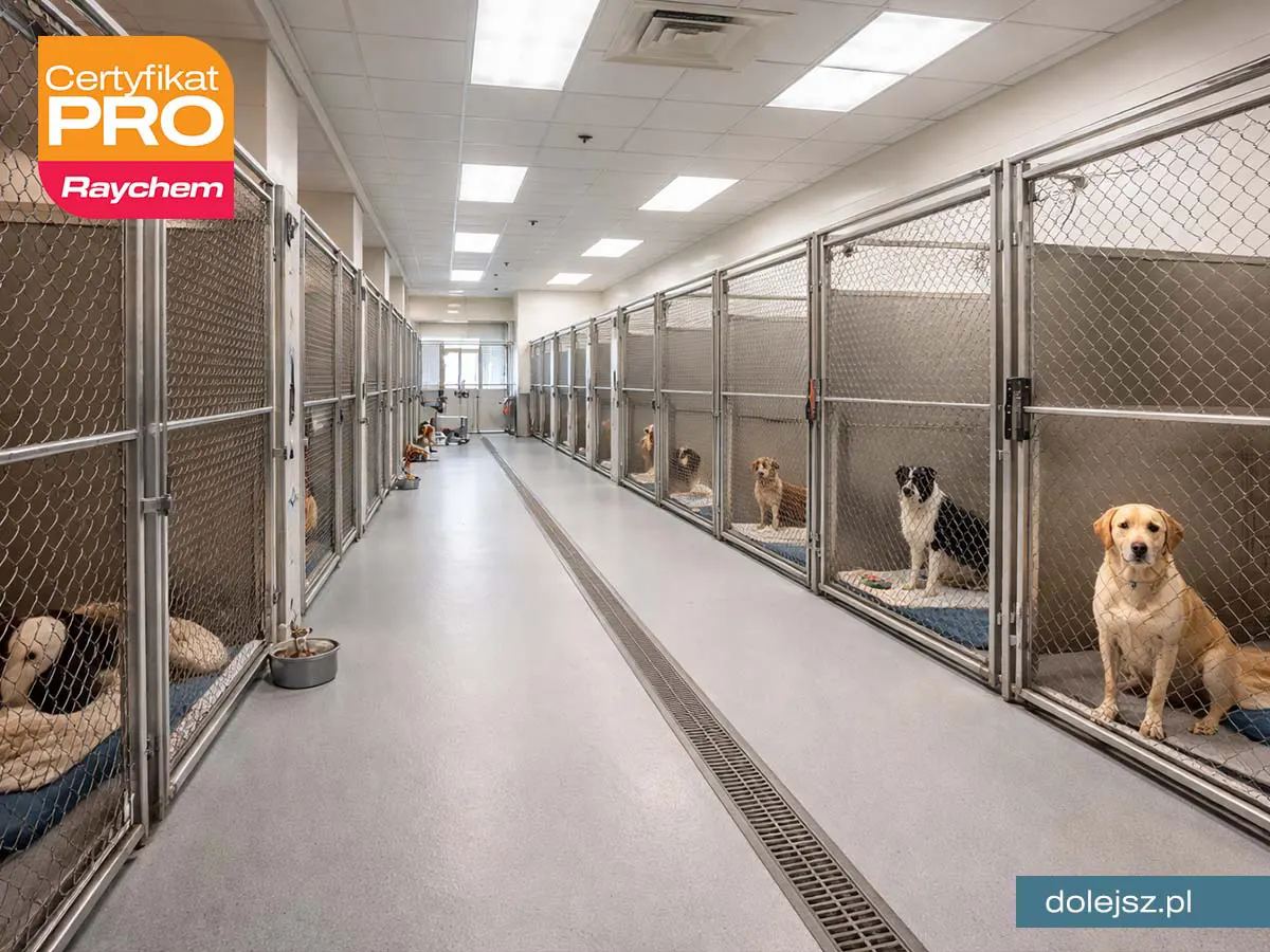 Elektryczne ogrzewanie podłogi w schronisku dla zwierząt w Warszawie